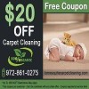 Mesquite Carpet Cleaning