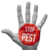 Reliance Pest & Termite