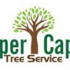 Upper Cape Tree Service