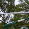 Upper Cut Tree Service