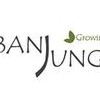 Urban Jungle Interiorscapes