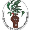 Urban Tree Connection