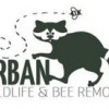 Urban Wildlife & Bee Removal