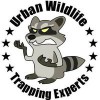 Urban Wildlife Trapping Experts