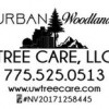 Urban Woodland Tree Care