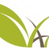 Van Atta Associates