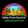 Valley Service Connection