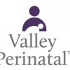 Valley Services