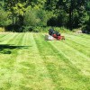 All American Landscaping & Maintenance