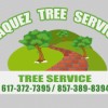 Vasquez, Tree Service