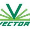 Vector Construction