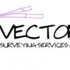 Vector Surveying Services