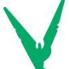 Vgs