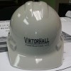 ViktorHall Construction