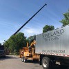 Vineland Tree Care