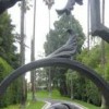 Virginia Paca Architecture & Garden Design