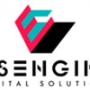 VisEngine