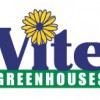 Vite Greenhouse
