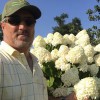 VM Landscaping & Nursery
