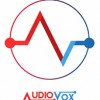 Audiovox Consumer Electronics