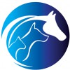 Westside Animal Hospital