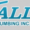 Wallace Plumbing