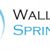 Wallace Sprinkler