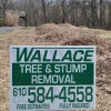 Wallace Tree Stump Removal