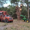 Wallace Tree Service