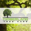 Timberland Tree Care
