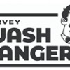 Harvey Washbangers