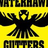 Waterhawk Gutters