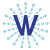 Waynick Pressure Washing