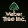 Weber Tree