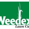 Weedex Lawn Care