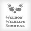 A Weldon Wildlife Removal