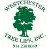 Westchester Tree Life