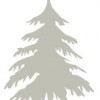 Western Mass Tree Care