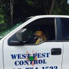 West Pest Control