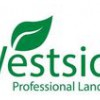 Westside Professional Landscape