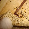 West Termite & Pest Management