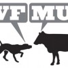 WFMU Ground Floor Performance Space