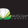 White Diamond Landscape