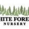 White Forest Nursery