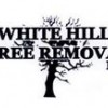 White Hills Tree Removal