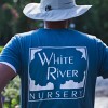 White River Nursery