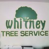 Whitney Tree Service
