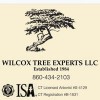 Wilcox Landscaping & Tree