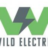 Wild Electric