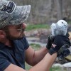 Wildlife Remedies